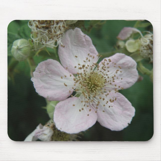 Blackberry Flower Macro Mousepad (Front)