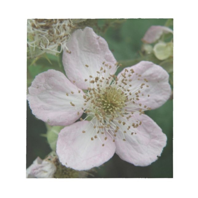 Blackberry Flower Macro Notepad (Front)