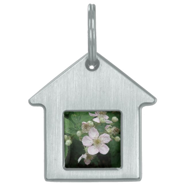 Blackberry Flowers Pet Tag (Front)