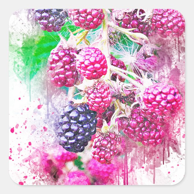 blackberry fruit art abstract square sticker (Front)