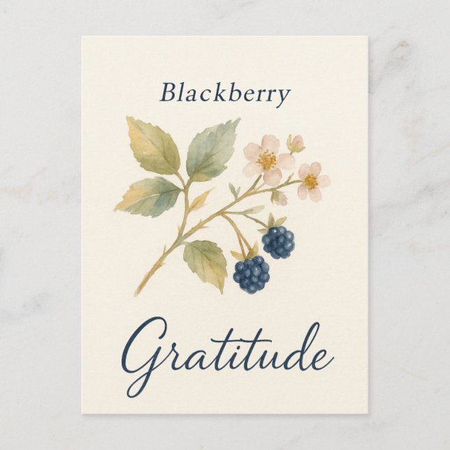 Blackberry — Gratitude Postcard (Front)