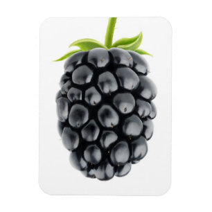 Blackberry Magnet