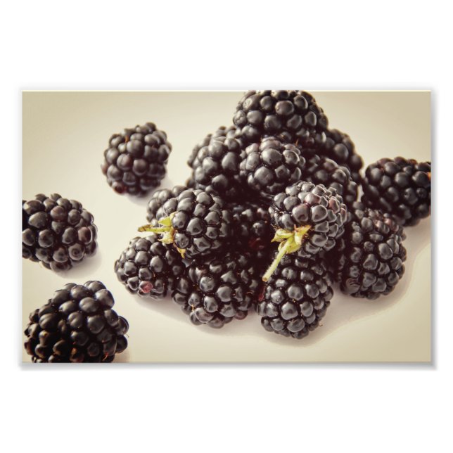 Blackberry Photo. Buy Now Photo Print (Front)