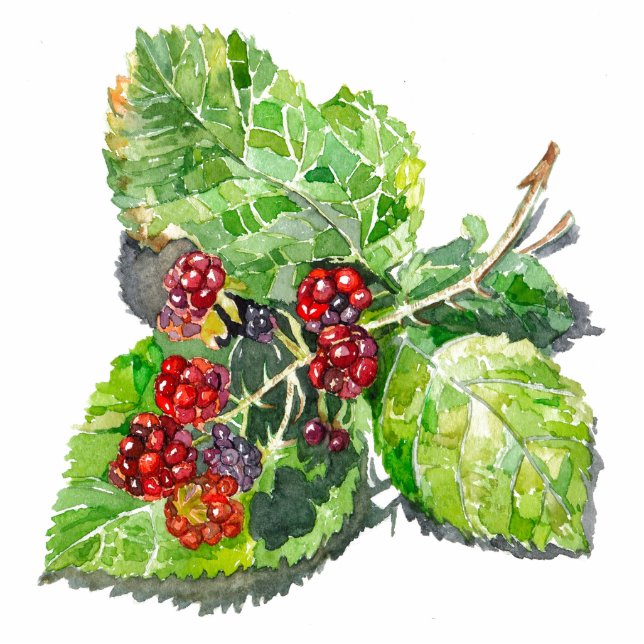 BlackBerry Photo Sculpture Magnet (Front)