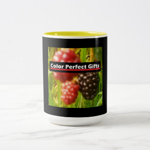 Blackberry Promotional Two-Tone Coffee Mug