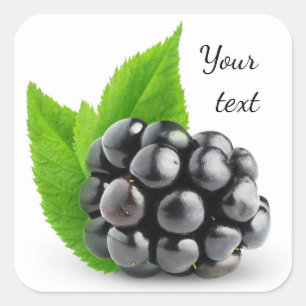 Blackberry Square Sticker