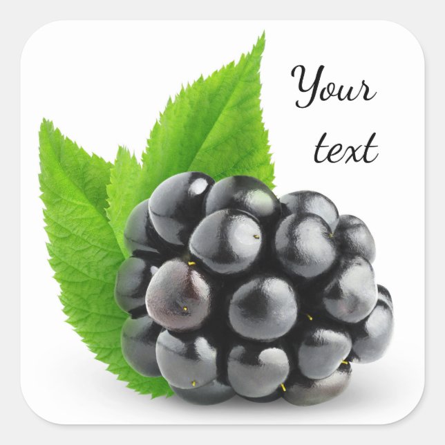 Blackberry Square Sticker (Front)