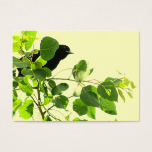 Blackbird ATC
