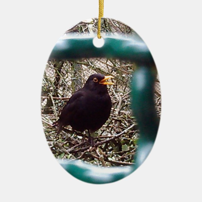 Blackbird behind bars, Animal, Birds, Black Bird Ceramic Tree Decoration (Front)