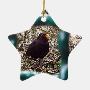 Blackbird behind bars, Animal, Birds, Black Bird Ceramic Tree Decoration