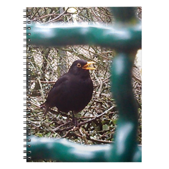 Blackbird behind bars, Animal, Birds, Black Bird Notebook (Front)