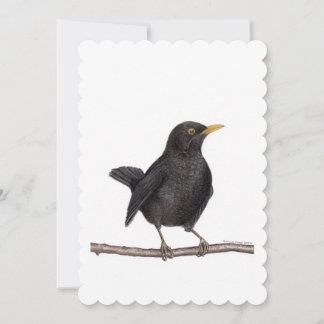 Blackbird Bird (Turdus Merula) Invitation