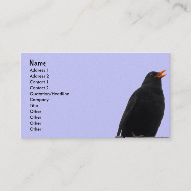 Blackbird Business Card (Front)