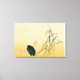 Blackbird, Edo Period Canvas Print