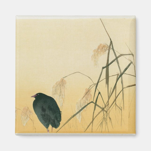 Blackbird, Edo Period Magnet (Front)