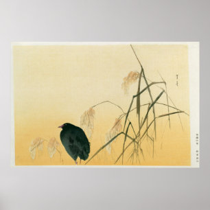 Blackbird, Edo Period Poster