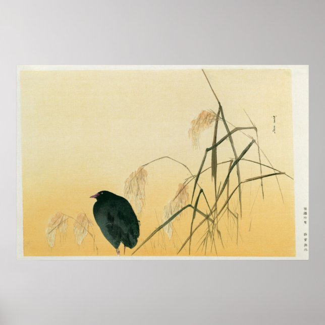 Blackbird, Edo Period Poster (Front)