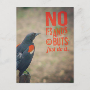 Blackbird Encouragement Postcard