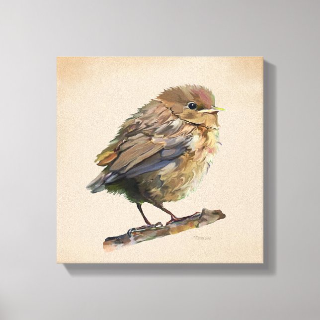 Blackbird Fledgling Canvas Print (Front)