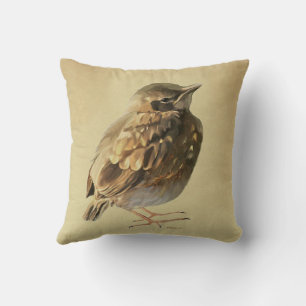Blackbird Fledgling Cushion