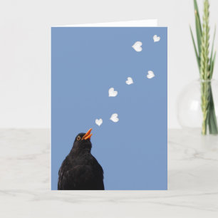 Blackbird Love Song Card
