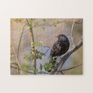 Blackbird Nature Photo Jigsaw Puzzle