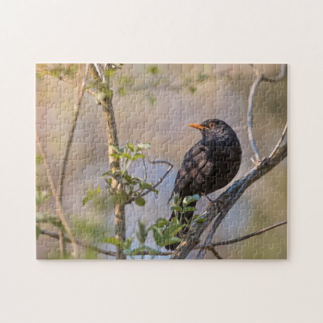 Blackbird Nature Photo Jigsaw Puzzle (Horizontal)