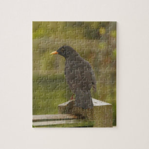 Blackbird Puzzle