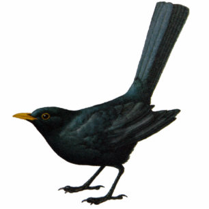 Blackbird Sculpture Standing Photo Sculpture