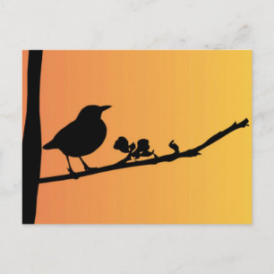 Blackbird Silhouette Postcard