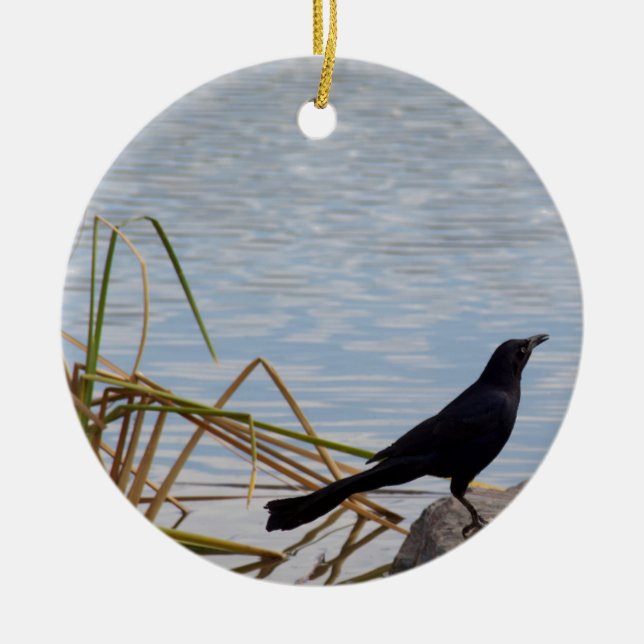 Blackbird Sing Ceramic Tree Decoration (Front)