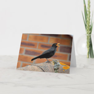 Blackbird singing blank greeting card