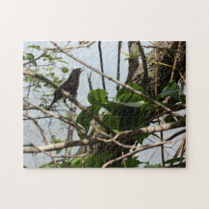 Blackbird Singing Jigsaw Puzzle