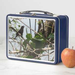 Blackbird Singing Metal Lunchbox