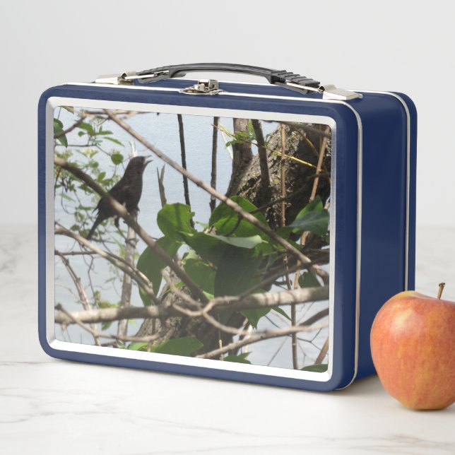 Blackbird Singing Metal Lunchbox (In Situ)