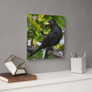 Blackbird  square wall clock
