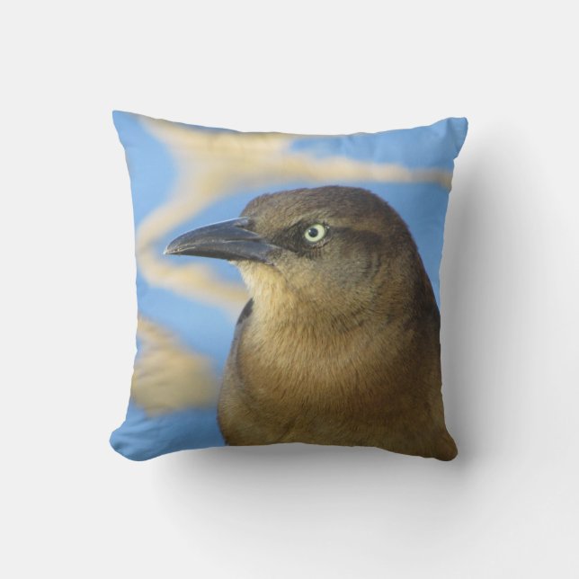 Blackbird Stare Photo with Blue Water Nature Cushion (Front)