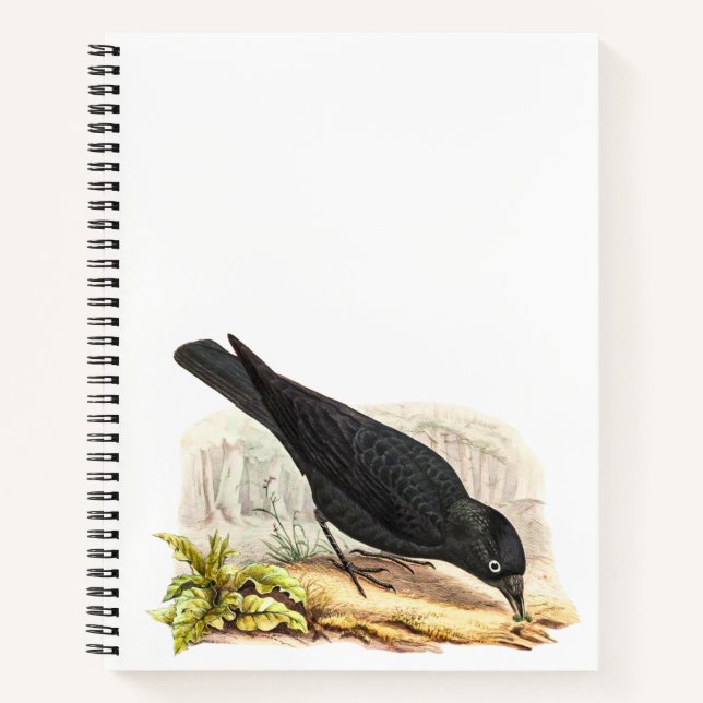Blackbird The Raven Notebook (Front)