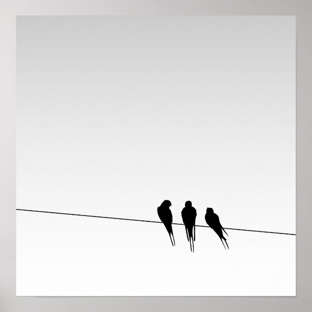 Blackbirds Silhouette on Wire on Gradient Sky Poster (Front)