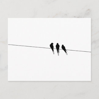 Blackbirds Silhouette on Wire Postcard
