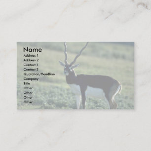 Blackbuck antelope business card