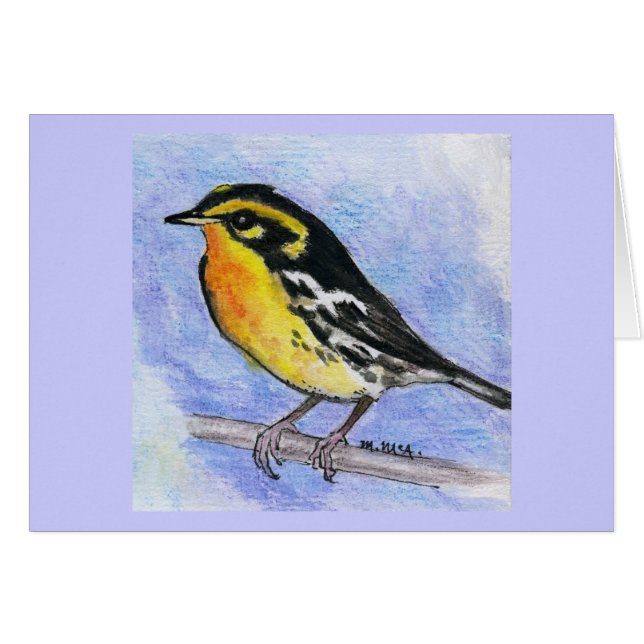 Blackburnian Warbler (Front Horizontal)