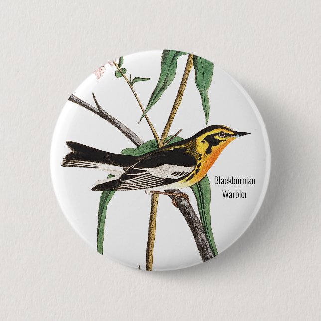 Blackburnian Warbler, Audubon, Wildlife Birder, 6 Cm Round Badge (Front)