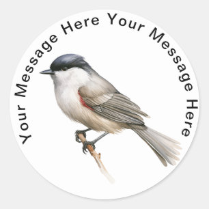 Blackcap Classic Round Sticker