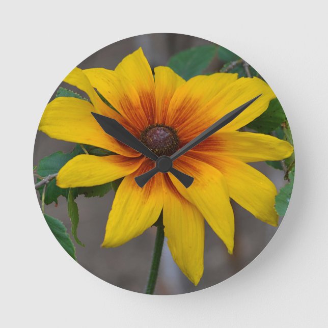 Blacke-eyed Susan Wall Clock (Front)