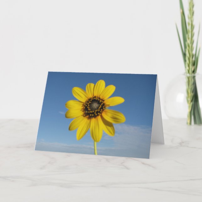 Blackeyed Susan Card (Vertical) (Front)