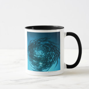Blackfin barracuda swimming in circles mug