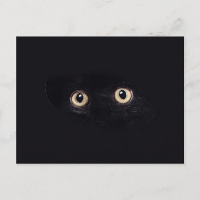 blackie postcard (Front)