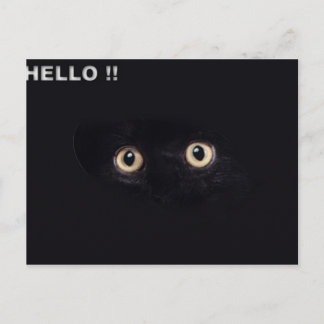 blackie postcard