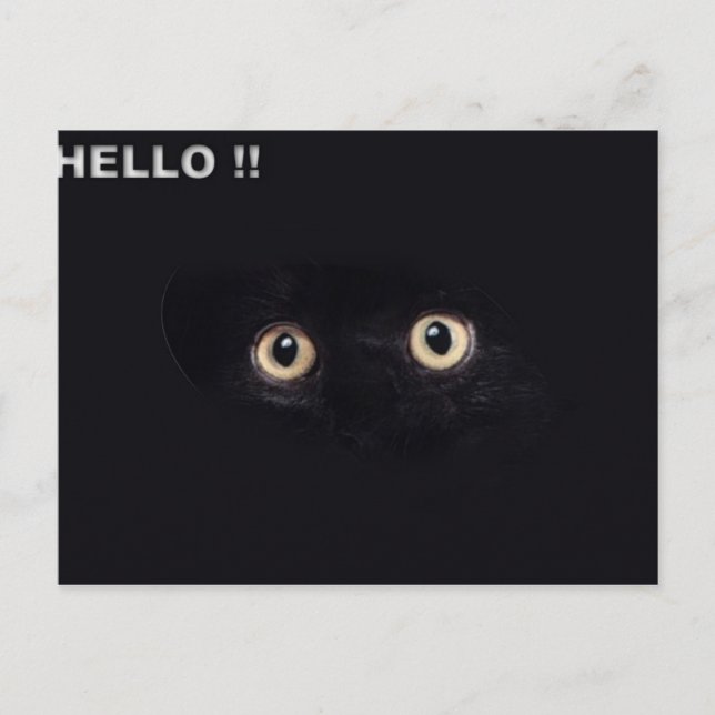 blackie postcard (Front)